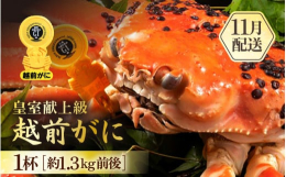 冬の味覚の王様「越前がに」厳選した越前かにをご提供します福井県の越前町漁港で水揚げされる、黄色いタグ付き越前ずわいがにです【ご注意ください】※越前がには時期により相場が変動するため、発送月毎に寄附金額