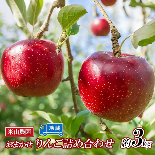 2026年発送りんご 米山農園のおまかせりんご約3kg シナノリップ さんつがる シナノドルチェ 紅玉 セット 長野県 長野市 1430501 - 長野県長野市