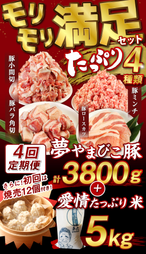 【4回定期便】「夢やまびこ豚 モリモリ満足セット 3.8kg」×「愛情たっぷり米 5kg」(初回は「焼売」付き!!） 豚肉 お肉 肉 お米 米 白米 精米 セット 1430974 - 愛知県幸田町