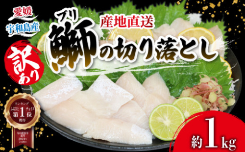 年内発送 可!! ブリ 訳あり 鰤 ぶり 切り落とし 計約 1kg （ 250g × 4 パック ） 南予ビージョイ 訳あり わけあり 鰤 ブリ ぶり buri 養殖 刺身 お刺身 漬け丼 茶漬け 鰤しゃぶ ぶりしゃぶ 冷凍 小分け 流水解凍 鮮魚 人気返礼品 大容量 国産 愛媛 宇和島 D010-150002