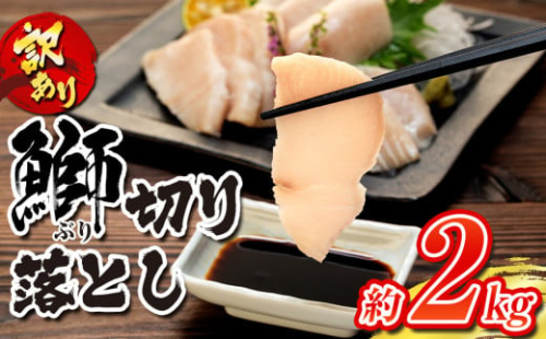ブリ 訳あり 鰤 ぶり 切り落とし 計約 2kg (250g×8パック) 南予ビージョイ わけあり buri 産地直送 訳アリ 訳あり品 養殖 刺身 お刺身 漬け丼 茶漬け 新鮮 鰤しゃぶ ぶりしゃぶ 冷凍 小分け 流水解凍 鮮魚 人気返礼品 大容量 国産 愛媛 宇和島 D019-150008