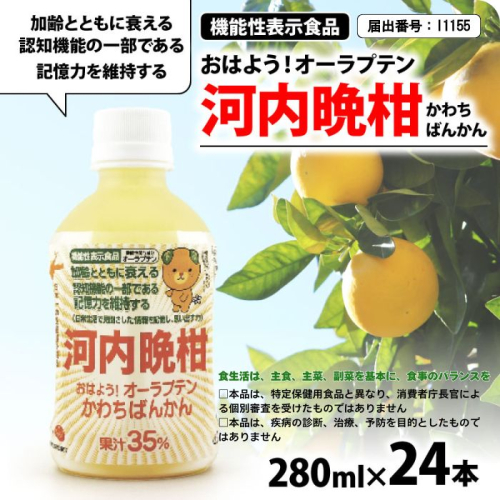 おはよう！オーラプテン河内晩柑 280ml×24本 伊方サービス 24000円 280ml 河内晩柑 愛南ゴールド 美生柑 みかん 機能性表示食品 オーラプテン 柑橘 飲料 中高年 記憶 衰え 認知 認知機能 思い 思い出す 日常生活 加齢 維持 維持する ジュース 健康 美容 クエン酸 はちみつ グレープフルーツ さわやか フルーツ 伊方町 愛媛県 愛南町 伊方サービス株式会社 1431331 - 愛媛県愛南町