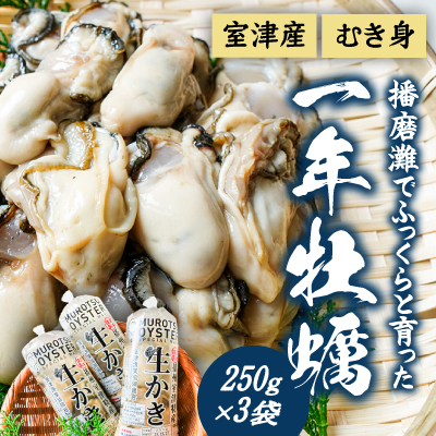 H-13 【12月〜3月限定】 室津産むき身牡蠣250g×3袋 143139 - 兵庫県たつの市