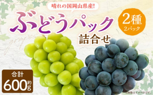 岡山県産 ぶどう パック 詰合せ ※2種2パックセット 計約600g 【2025年9月上旬～10月下旬発送予定】 岡山 シャインマスカット ニューピオーネ 果物 くだもの フルーツ ブドウ 葡萄 セット