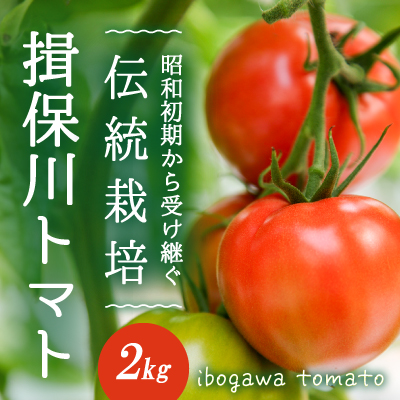 H-14 揖保川トマト ※2キロ