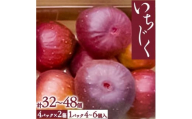 いちじく【1027399】