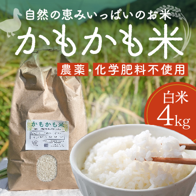H-37【農薬・化学肥料不使用】循環農法で育てた自然の恵みいっぱいの『かもかも米(白米4kg)』  143172 - 兵庫県たつの市