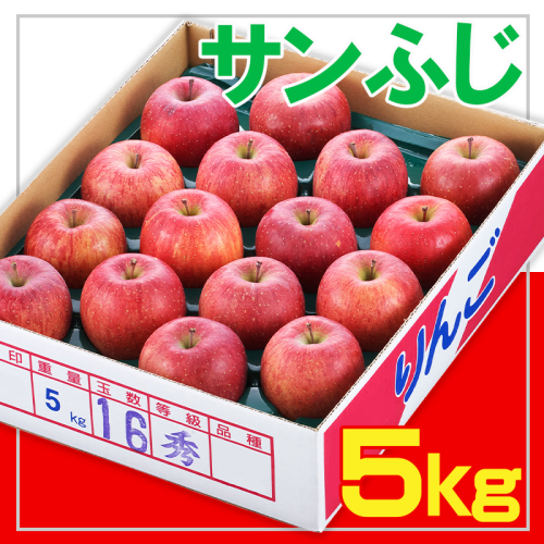☆フルーツ王国山形☆サンふじりんご 秀品 5kg FY25-889 1431869 - 山形県山形市