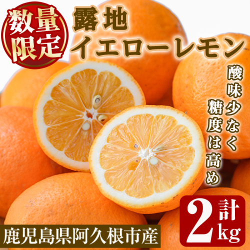 ＜先行予約受付中！2025年12月中旬以降順次発送予定＞数量限定！露地マイヤーイエローレモン(2kg) 国産 果実 果物 レモン イエローレモン フルーツ 檸檬 柑橘 デザート 期間限定【桐野柑橘株式会社】akn070-10 1431906 - 鹿児島県阿久根市