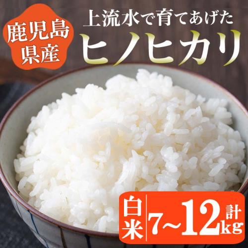 No.774/No.775 ＜選べる！＞《令和6年産！》鹿児島県産！ヒノヒカリ白米(7kg・12kg) 鹿児島県産 米 お米 白米 ごはん ヒノヒカリ 小分け【大潟屋】 1432001 - 鹿児島県日置市