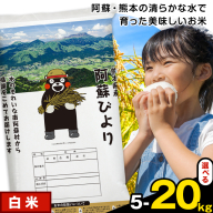 白米 選べる 阿蘇びより 5kg 10kg 15kg 20kg《10月中旬-12月末頃出荷》 訳あり 米 コメ こめ 熊本県産 米 ふるさと納税 わけあり お米 おこめ 熊本