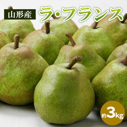 山形のラ・フランス 秀品 約3kg(6～12個) FY24-205 1432095 - 山形県山形市