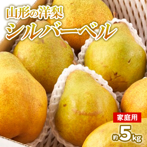 【家庭用】山形の洋梨 シルバーベル 約5kg(8～14個) FY24-208 1432099 - 山形県山形市