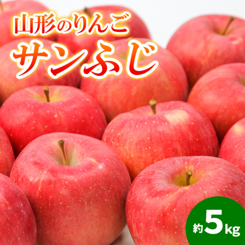 山形のりんご サンふじ 秀品 約5kg(12～20個) FY24-210 1432102 - 山形県山形市