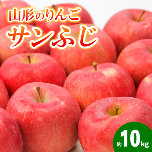 山形のりんご サンふじ 秀品 約10kg(24～50個) FY24-211 1432103 - 山形県山形市