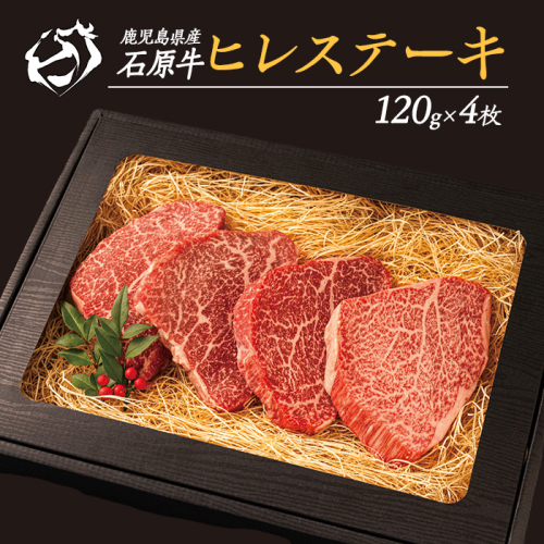 石原牛のヒレステーキ(120g×4) (数量限定)石原牛 赤身 ヒレ ステーキ 480g 国産 牛 ウシ 牛肉 焼肉 BBQ バーベキュー ビーフ 冷凍【石原PRO】ishihara-7089 1432326 - 鹿児島県長島町