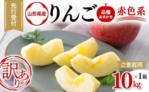 FYN9-967 【農業者支援】ご家庭用 2025年 山形県産 品種おまかせ りんご 赤色系 約10kg 2025年10月上旬から順次発送 果物 くだもの フルーツ 林檎 リンゴ アップル 秋果実 生産者支援 農業者支援 支援品 自宅用 家庭用 訳アリ ワケアリ 山形県 西川町 月山