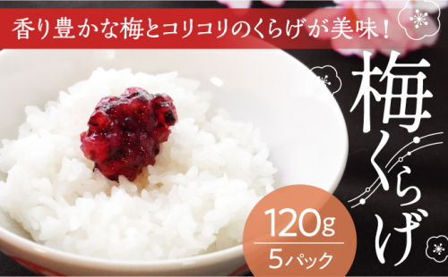 H-83【国産紀州南高梅使用】梅くらげ120g×5パック 143255 - 兵庫県たつの市