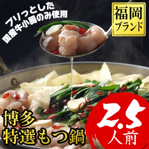 ZI231.博多特選もつ鍋（2.5人前・プリプリの国産牛小腸のみ使用）【福岡ブランド】【もつ鍋・醤油味】 1432699 - 福岡県新宮町