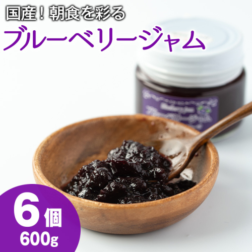 【12161】贅沢な国産ブルーベリージャム(100g×6個・計600g)ジャム 瓶 果物 果実 フルーツ パン【村山製油】 14327 - 鹿児島県東串良町