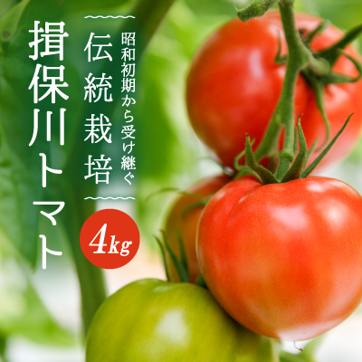 G-9【昭和初期から受け継ぐ伝統栽培】酸味と甘みのバランスがよい「揖保川トマト」4kg【発送時期：12月～６月】 143293 - 兵庫県たつの市