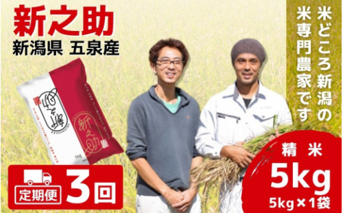 【先行予約】令和8年産【定期便 3ヶ月】五泉産 新之助  5kg × 3回  | しんのすけ 新潟県産 お米 おこめ こめ コメ ご飯 ごはん 白米 精米 ブランド米 おすすめ 新潟県 五泉市 わくわく農場 1432966 - 新潟県五泉市