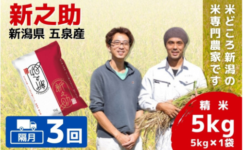 【先行予約】令和8年産【隔月 3回】 米 5kg × 3回 五泉産 新之助 | 白米 精米 しんのすけ お米 おこめ コメ こめ おすすめ 人気 新潟県 五泉市 わくわく農場 1433215 - 新潟県五泉市