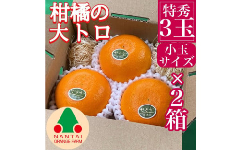 お試し規格 柑橘の大トロ ハウス せとか 厳選 小玉 3玉入 手さげ箱 × 2箱 南泰園 和歌山 有田 1434449 - 和歌山県有田川町