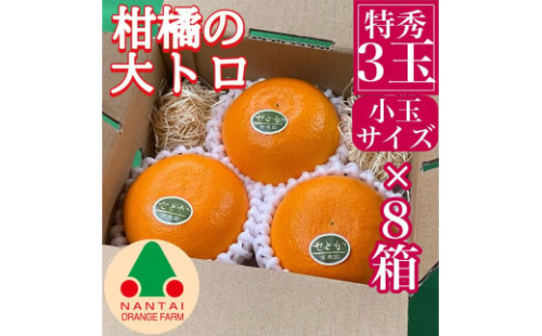 お試し規格 柑橘の大トロ ハウス せとか 厳選 小玉 3玉入 手さげ箱 × 8箱 南泰園 和歌山 有田 1434502 - 和歌山県有田川町