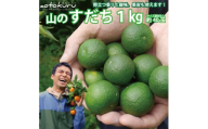 あおとくる 山のすだち 1kg