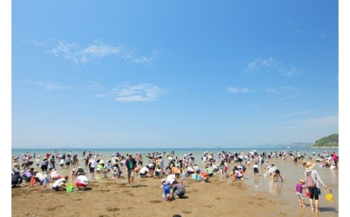 F-26 新舞子潮干狩り・海水浴ファミリーチケット 143511 - 兵庫県たつの市