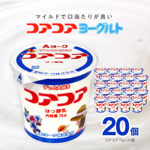 愛知ヨーク　コアコアヨーグルト　20個入［108A01] 1435140 - 愛知県小牧市