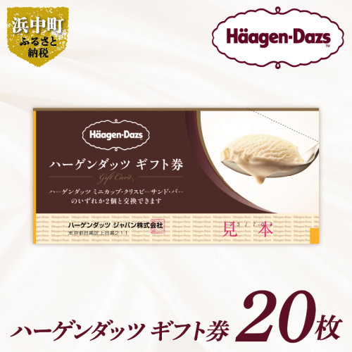 【9月30日で受付終了!!】あとから選べる『ハーゲンダッツ ギフト券　20枚』アイスクリーム アイス スイーツ デザート_H0010-005 1435516 - 北海道浜中町