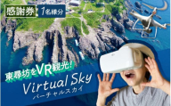 リアルタイム！VRゴーグルで東尋坊観光！！ 1名様分【感謝券】【東尋坊 観光 体験 絶景 名勝 体験チケット VR ドローン】 [A-18101]