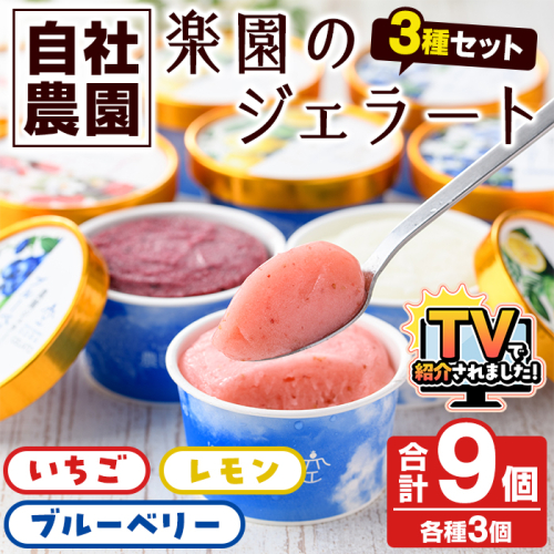 楽園のジェラート3種セット(合計9個) スイーツ デザート おやつ ジェラート アイス 夏 いちご レモン ブルーベリー 自社農園【農園ガーデン空】akn026-05 1435770 - 鹿児島県阿久根市