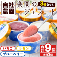 楽園のジェラート3種セット(合計9個) スイーツ デザート おやつ ジェラート アイス 夏 いちご レモン ブルーベリー 自社農園【農園ガーデン空】akn026-05