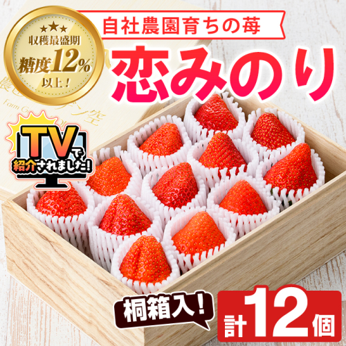 ＜先行予約受付中！2026年1月以降順次発送予定＞桐箱入！自社農園産いちご 恋みのり(計12個) 鹿児島 阿久根 自社農園 果物 フルーツ イチゴ いちご 苺 恋みのり 贈答用 ギフト 桐箱 デザート 期間限定【農園ガーデン空】akn026-10 1435774 - 鹿児島県阿久根市