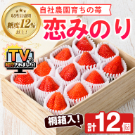 ＜先行予約受付中！2026年1月以降順次発送予定＞桐箱入！自社農園産いちご 恋みのり(計12個) 鹿児島 阿久根 自社農園 果物 フルーツ イチゴ いちご 苺 恋みのり 贈答用 ギフト 桐箱 デザート 期間限定【農園ガーデン空】akn026-10