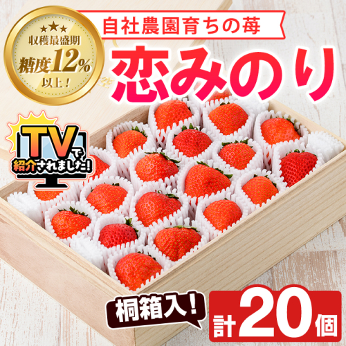 ＜先行予約受付中！2026年1月以降順次発送予定＞桐箱入！自社農園産いちご 恋みのり(計20個) 鹿児島 阿久根 自社農園 果物 フルーツ イチゴ いちご 苺 恋みのり 贈答用 ギフト 桐箱 デザート 期間限定【農園ガーデン空】akn026-11 1435775 - 鹿児島県阿久根市