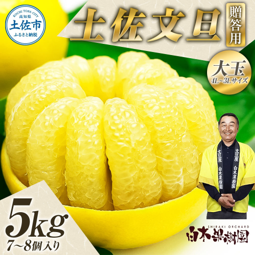 【果樹園直送】土佐文旦 特選品贈答用 約5kg 3L～4Lサイズ 7～8個入り 白木果樹園 1436025 - 高知県土佐市
