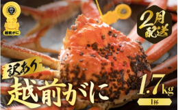 【ご注意ください】※越前がには時期により相場が変動するため、発送月毎に寄附金額が異なります。━━━━━━━━━━━━━━━━━━━━━━━━━━━━━━━━━━━目利き店主自らが厳選した冬の味覚の王様