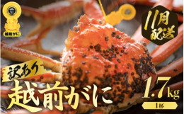【ご注意ください】※越前がには時期により相場が変動するため、発送月毎に寄附金額が異なります。━━━━━━━━━━━━━━━━━━━━━━━━━━━━━━━━━━━目利き店主自らが厳選した冬の味覚の王様