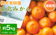 みかん 5kg 山北みかん 家庭用 柳本果樹園の山北みかん 大小混合(2S～L) - 果物 フルーツ 柑橘類 温州みかん ミカン 蜜柑 甘い おいしい 訳あり キズ 大小混合 期間限定 季節限定 数量限定 高知県 香南市 yg-0013