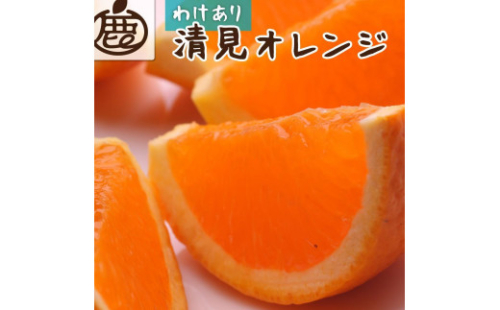 ＜2月より発送＞家庭用 清見オレンジ10kg+300g（傷み補償分）【光センサー食頃出荷】【わけあり・訳あり】【IKE66】 1436336 - 和歌山県上富田町