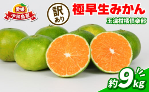 【訳あり】愛媛みかん 極早生みかん 9kg 先行予約 玉津柑橘倶楽部 みかん ミカン 温州みかん 温州 甘い さっぱり 爽やか 酸味 果物 くだもの フルーツ 柑橘 mikan 蜜柑 愛媛蜜柑 愛媛みかん わけあり 訳アリ わけあり 訳あり品 サイズ 不揃い 産地直送 数量限定 国産 愛媛 宇和島 B010-072029