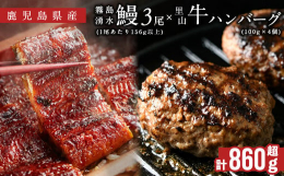里山牛ハンバーグ：100%里山牛のミンチを使用していますので、お肉の食感が強い、食べごたえのあるハンバーグです♪霧島湧水鰻：養殖うなぎ生産量日本一の鹿児島！ 霧島湧水鰻は山田水産うなぎ事業部の原点とも