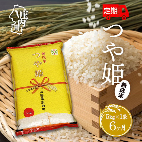 ＜11月下旬発送＞庄内米6か月定期便！つや姫無洗米5kg（入金期限：2024.10.25）
 1437126 - 山形県庄内町