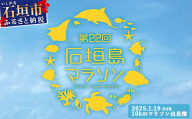 【限定30名・特典アリ】第22回石垣島10kmマラソン出走権 AAA-7