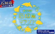 【限定30名・特典アリ】第22回石垣島ハーフマラソン出走権 AAA-8