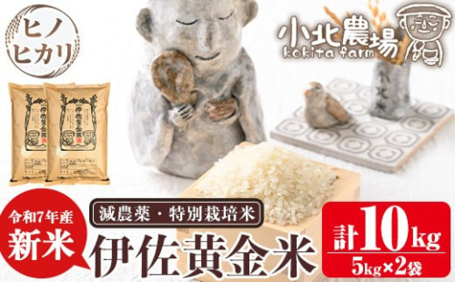 isa600 《数量限定》令和7年産 小北農場の新米 伊佐黄金米〈ヒノヒカリ〉(10kg) 鹿児島 伊佐 新米 お米 特別栽培米 伊佐米 白米 ヒノヒカリ ひのひかり おにぎり ごはん 【小北農場】
